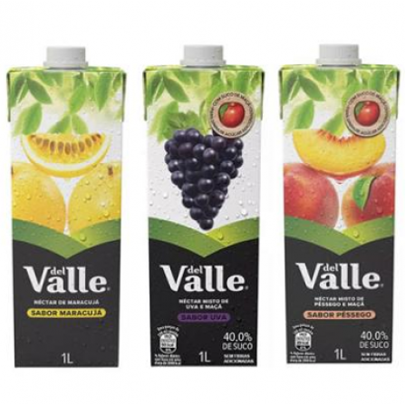 Suco Del Valle Néctar - 1L